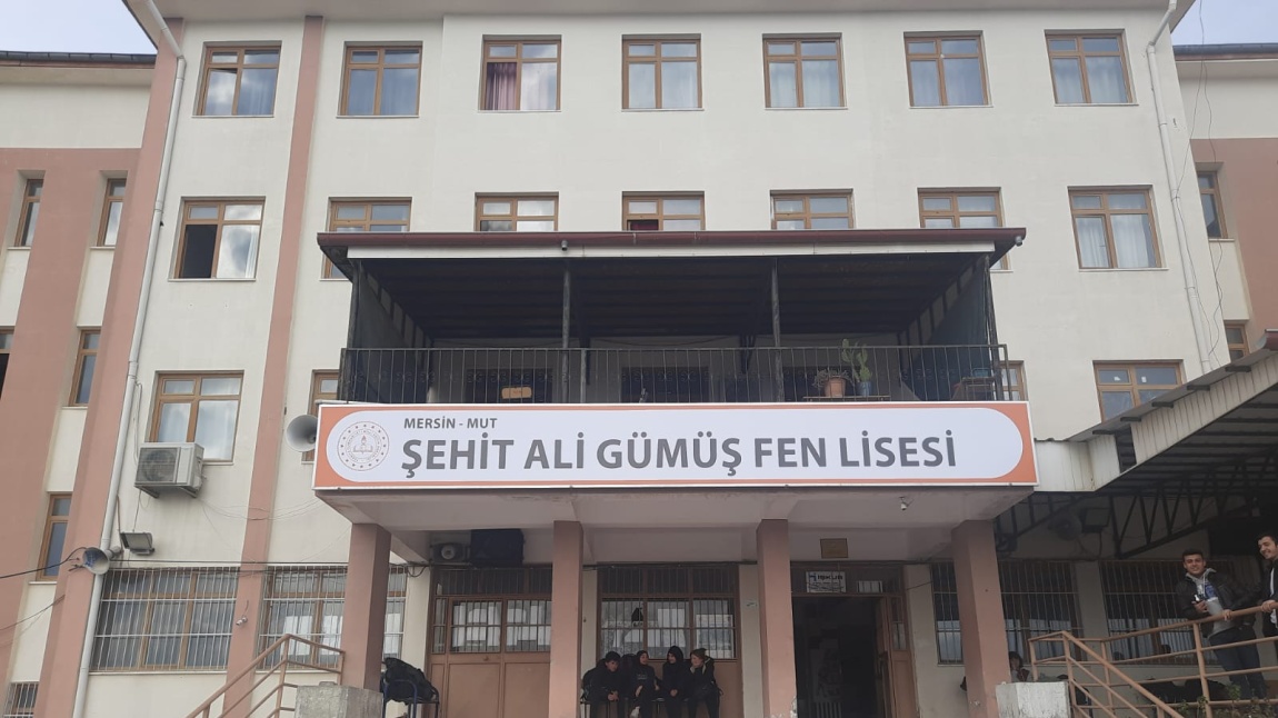 FEN LİSESİ
